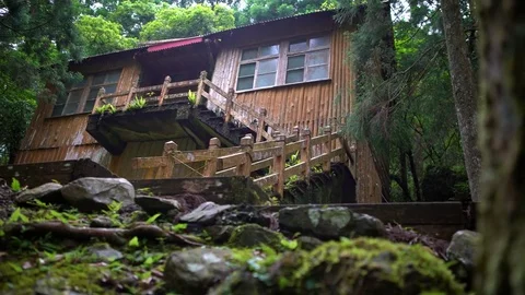4K wooden house between the trees in the wild Forest of Manyueyuan at Taiwan-Dan Stock Footage 75999721