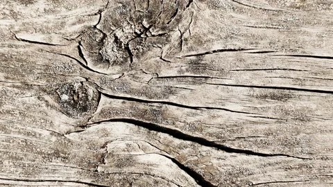 4k Wooden Texture. Dynamic looping background Video stock 208469993