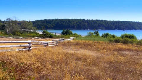 4K Yellow Field Grass Summer Landscape, Blue Water Ocean Beach Landscape Island Video stock 83344058