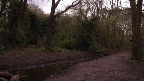 4K Young Fit Man Running In The Woods Crane shot Stock Footage 89463572