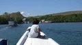4k Young girl sitting at bug of traditional indonesian tour boat arrive island 4k or 4k+ Resolution