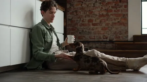 4k Young man is having fun with dachshund dog and sitting on floor at home room Stock Footage 201250958