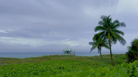 4K Zoom In Delray Beach Florida Clouds Time Lapse Video Stock Footage 267777460