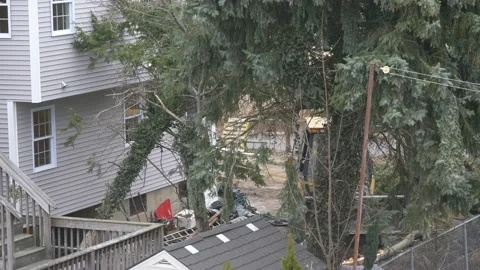4K60fps Landscapers remove old tree from back yard Stock Footage 181571896