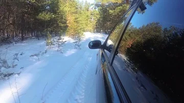  4K.Car goes on winter forest or  park, Reflection of trees in  window. POV clip Stockbeeldmateriaal 85529202
