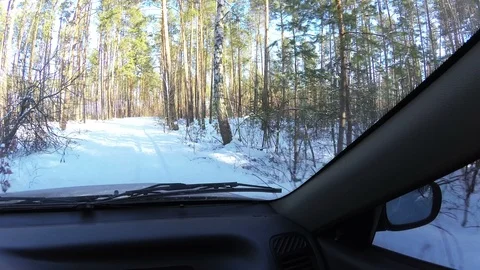  4K.Car move in  forest ,view from salon. POV clip Stockbeeldmateriaal 85837437