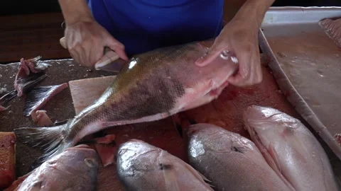 4KClose up of man fishmonger hands cutting tambaqui fish, Colossoma macropomum. Stock Footage 146910946