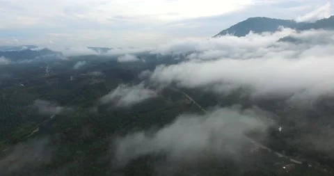 4k,Drone fly over the clouds in rain forest at southern of Thailand Stock Footage 138757119