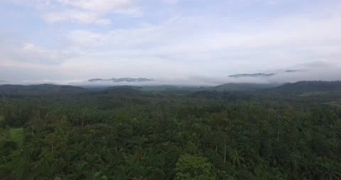 4k,Drone fly over the clouds in rain forest at southern of Thailand Stock Footage 138757131