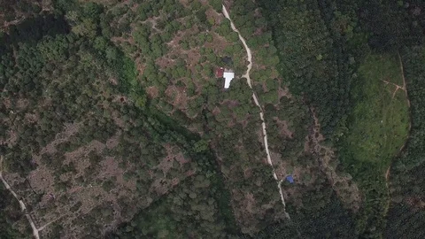 4kDurianSeed Stock Footage 91921900