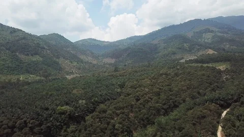 4kDurianSeed Stock Footage 91921918