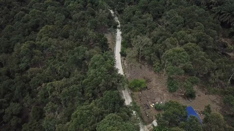 4kDurianSeed Stock Footage 91922251