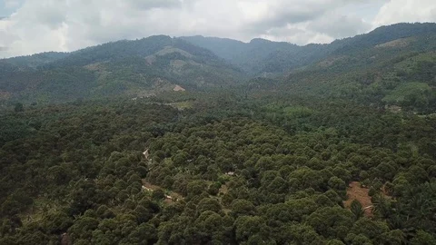 4kDurianSeed Stock Footage 91922292