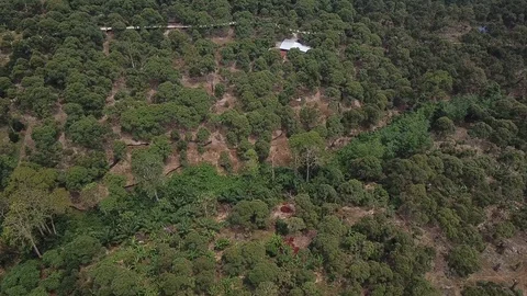 4kDurianSeed Stock Footage 91922305