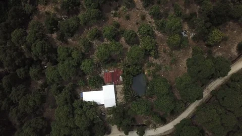 4kDurianSeed Stock Footage 91923273