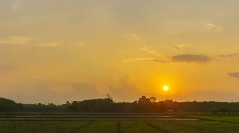 4K/UHD Day to Night Time-lapse : Sunset over agricultural green field. Stock Footage
