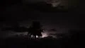 4KUHD lightning behind palm tree with full moon clouds 4k or 4k+ Resolution