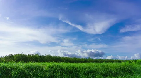 4K/UHD Time-lapse : Green field summer landscape. Stock Footage 67582352