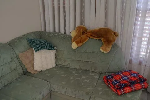 4S3A0784 Sofa with pillows and stuffed dog toy living room Foto stock