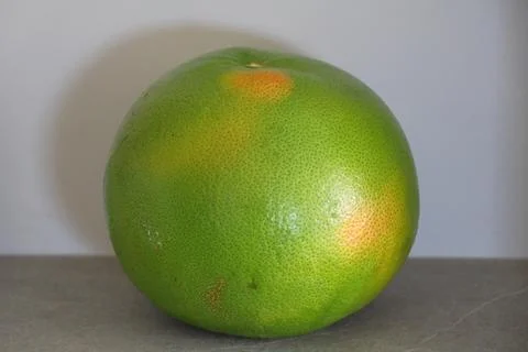 4S3A6375 Grapefruit on the grey background, closeup of photo. Stock Photos