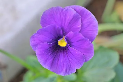 4S3A6440 Stock Photos