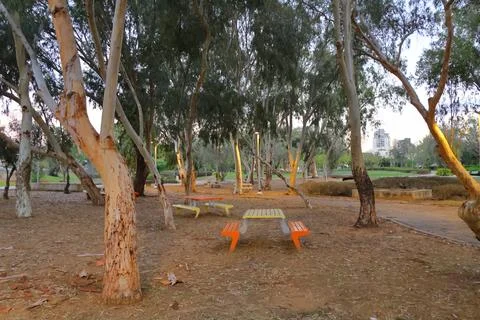 4S3A6540 bench in the park Stock Photos