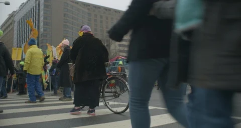 4th Annual Women’s Protest March On DC With The White House Stock Footage 123564259