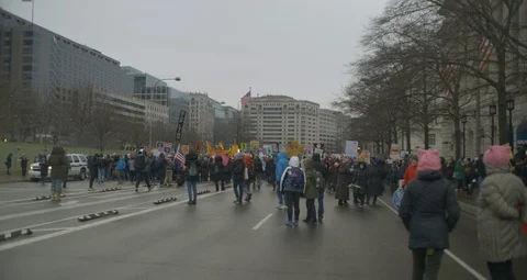 4th Annual Women’s Protest March On DC With The White House Stock Footage 123574619