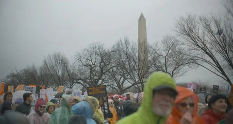 4th Annual Women’s Protest March On DC With The White House Stock Footage 123604328