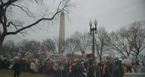 4th Annual Women’s Protest March On DC With The White House Stock Footage 123605569