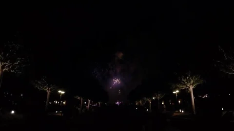 4th of July Fireworks Exploding In Distance Stock Footage 81421082