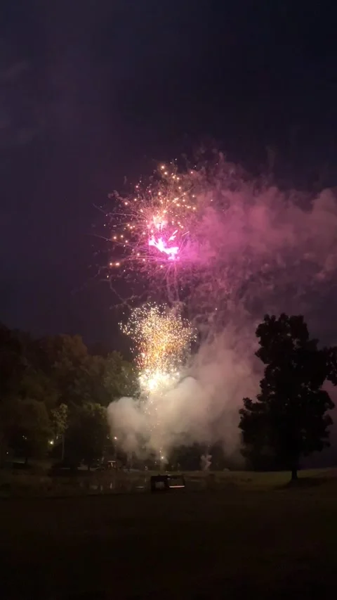 4th of July Fireworks 動画素材 278130871