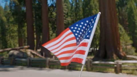 4th of July, Independence Day, Fourth of July background, poster with USA flag Stock Footage 289774003