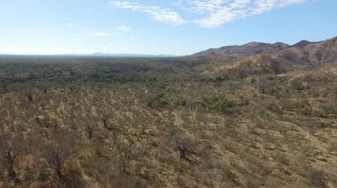 4wd in African Steppes Stock Footage 67467270