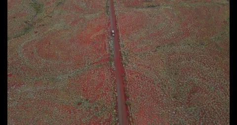 4wd Driving Through Outback Red Dirt Bush Scrub Off Road Western Australia Vidéo 276449112