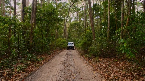 4x4 on sandy track through rainforest Stock Footage 92878439