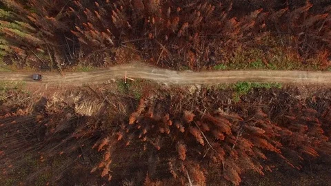 4x4 travels down trail Stock Footage 70333765