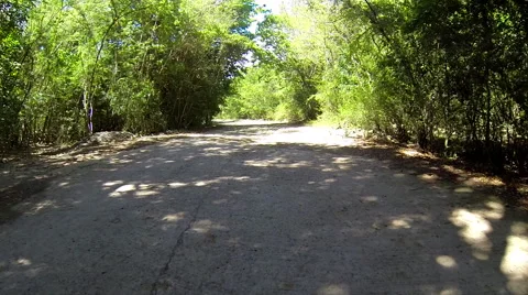 4x4ing on a trail through woods Stock Footage 42450042