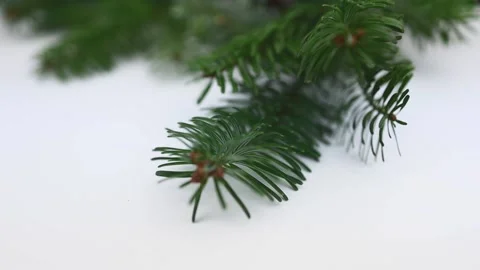 4Z diy1 Stock Footage 143119651