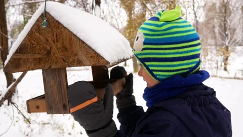 A 5-6 year old boy looks into a bird feeder in a snowy winter Stock Footage 143719440