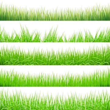 5 Backgrounds Of Green Grass, Isolated On White Background, Vector Illustrati Illustrazione stock