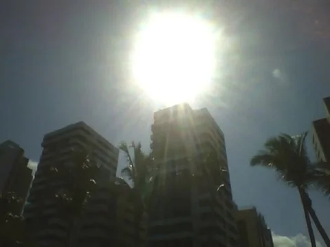 5 coconut trees and 2 buildings get all the summer sun near the beach Video stock 163684966