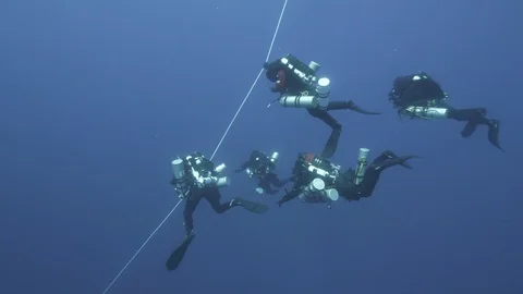 5 divers continue to dive following the guide line, Mediterranean Sea, Italy Stock Footage 115340808