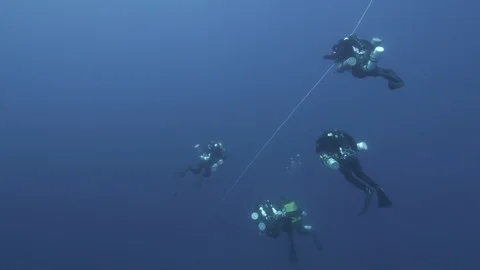 5 divers continue to dive following the guide line, Mediterranean Sea, Italy Stock Footage 115411889