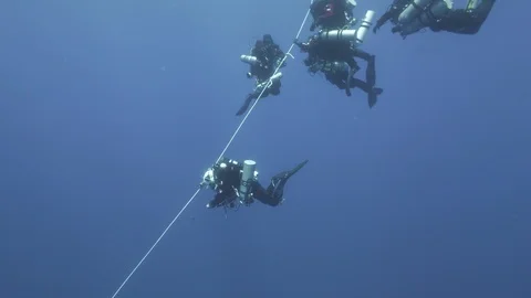 5 divers continue to dive following the guide line, Mediterranean Sea, Italy Stock Footage 115423307
