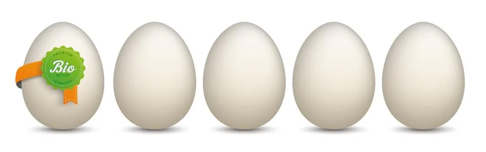 5 Eggs Bio Eier Label Stock Illustration