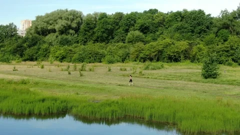 5 flying a drone over a field and lake, road in a field, forest, woman runni Stock Footage 267404267