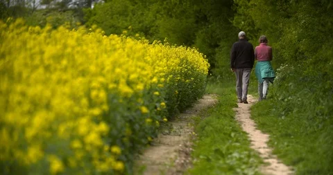 5 Focus pull from Senior couple walking in the countryside to rapeseed flowers. 스톡 동영상 90388857