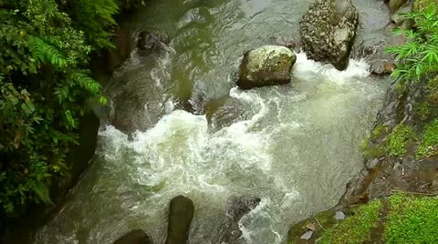 5 Stock Footage 10833351