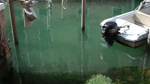 5 June 2023: Calm waters of the Venice lagoon with docked speedboat in the water Stock Footage 332305540